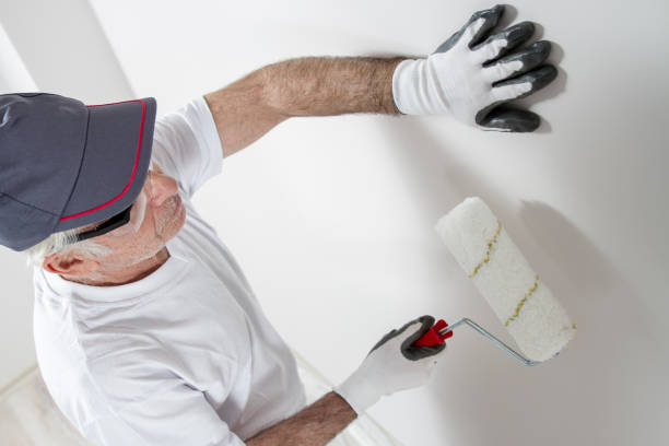 Best Mold Prevention Services  in Alamo, NV
