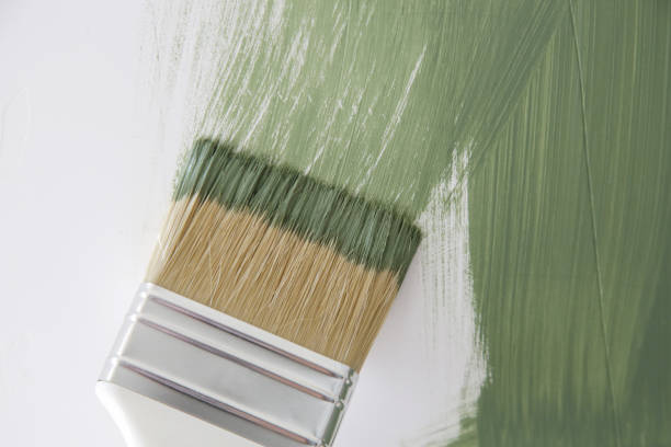Best Mold Odor Removal Services  in Alamo, NV