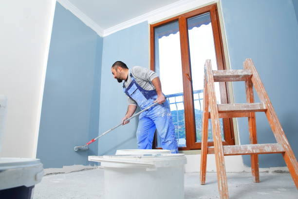 Best Black Mold Removal  in Alamo, NV