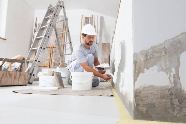 Best Mold Removal for HVAC Installations  in Alamo, NV