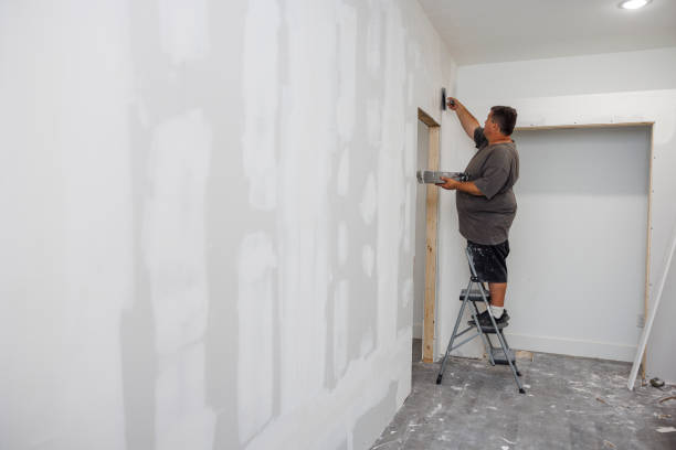 Best Residential Mold Inspection & Testing  in Alamo, NV