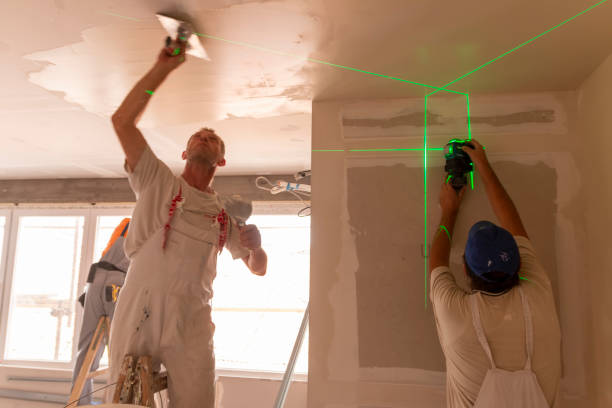 Best Basement Mold Removal  in Alamo, NV