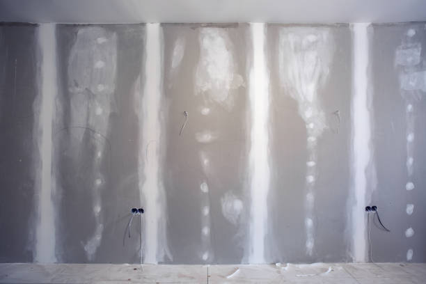 Best Air Quality Testing for Mold Spores  in Alamo, NV